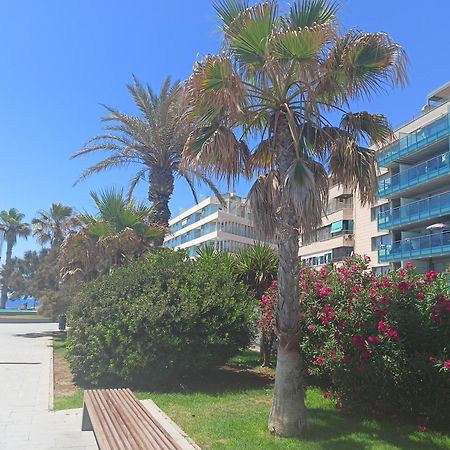 Vista Del Mar Apartment Torrevieja Exterior photo