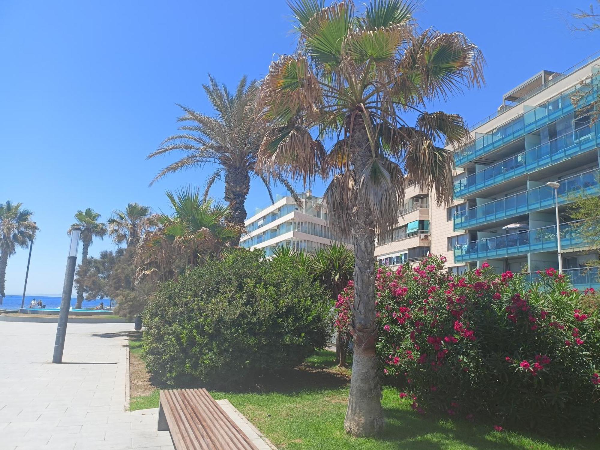 Vista Del Mar Apartment Torrevieja Exterior photo